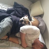 Michael Donnelly's Photo