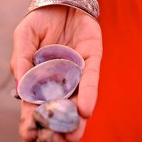 Le foto di Naazneen Diwan