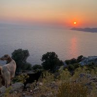 Mehmet Ergin's Photo