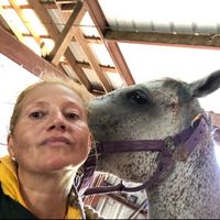 Hela Stoerle's Photo