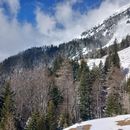 Hike Trip's picture