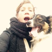 elien noppe的照片