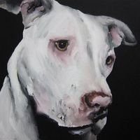 Фотографии пользователя Beatriz Puertum