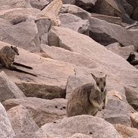 Diaz19 Diazee's Photo