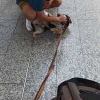 Emmanuel Obando Piedra's Photo