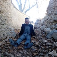 alireza shiravani's Photo