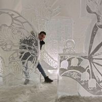 Mohamed Gamal's Photo