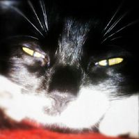 Fotos de Naira C Espinosa