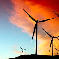 Le foto di Alperen Akbulut