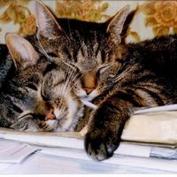 Krzysztof Clowder's Photo