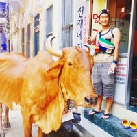 Fotos de JOOWONBruce.LEE