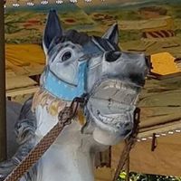 Julie Frich的照片