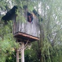 Daniel Diosa的照片