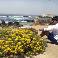 Devansh Mehta的照片