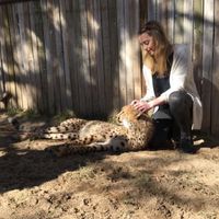 Katie Amélie的照片