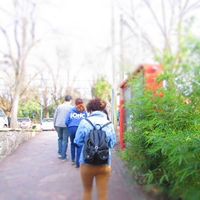 Flor Gonzalez's Photo