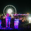 Coachella Weekend 2 's picture