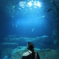 Fotos de Laura Mendoza