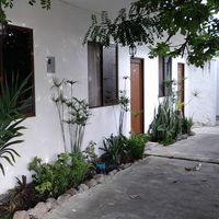 Joan Sotomayor Cobos's Photo