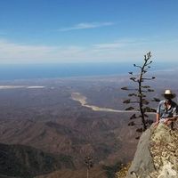 Thomas Reyes的照片