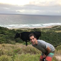 David Woodham的照片