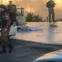 Mahmoud Kamel's Photo