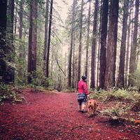 Ariana Bloom的照片