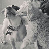 Rocío Antonio的照片