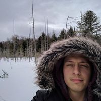 Isak Dupuis-Delahaye's Photo