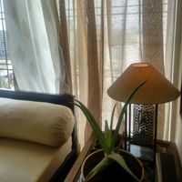 Pradipta Ray的照片