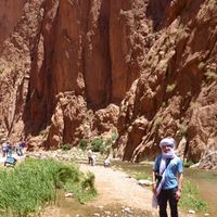 Tiziano Picardo的照片