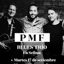 PMF BLUES TRÍO 's picture