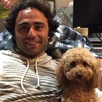 Ardalan Tootchi's Photo