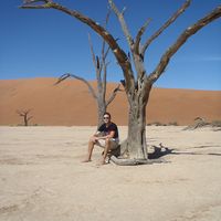 Joop Lauwers's Photo