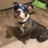 Le foto di JD Murray