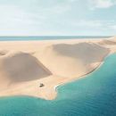 Inland Sea / Camel race training/ Zekreet Village 's picture