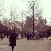 Francine Magalhães's Photo