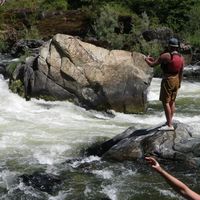 Nicholas Gomes's Photo