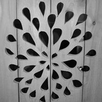 Kateřina Janoušková的照片