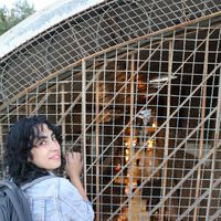 Elham Nasser Eddin's Photo