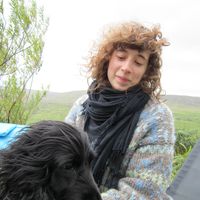 Rebecca Van Hove的照片