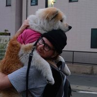 Zac Van Itallie的照片