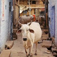 Paul FROBERT's Photo