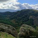 Ficuzza trekking / walking 's picture