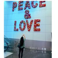 princess 🐬的照片