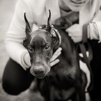 Roman Nechaev's Photo