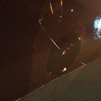 Gabriela Favre的照片