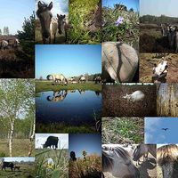 Manuela Krug's Photo