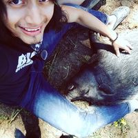 Carlitos Alvarado的照片