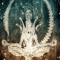 James Nilssen的照片